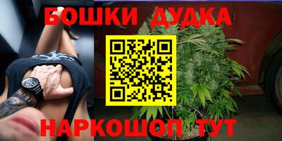 мдпв Абакан