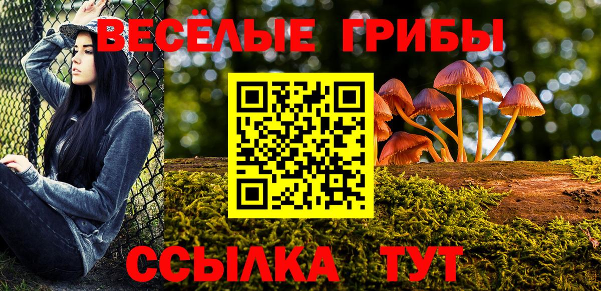 Псилоцибиновые грибы GOLDEN TEACHER  Вход с VPN  Удомля 